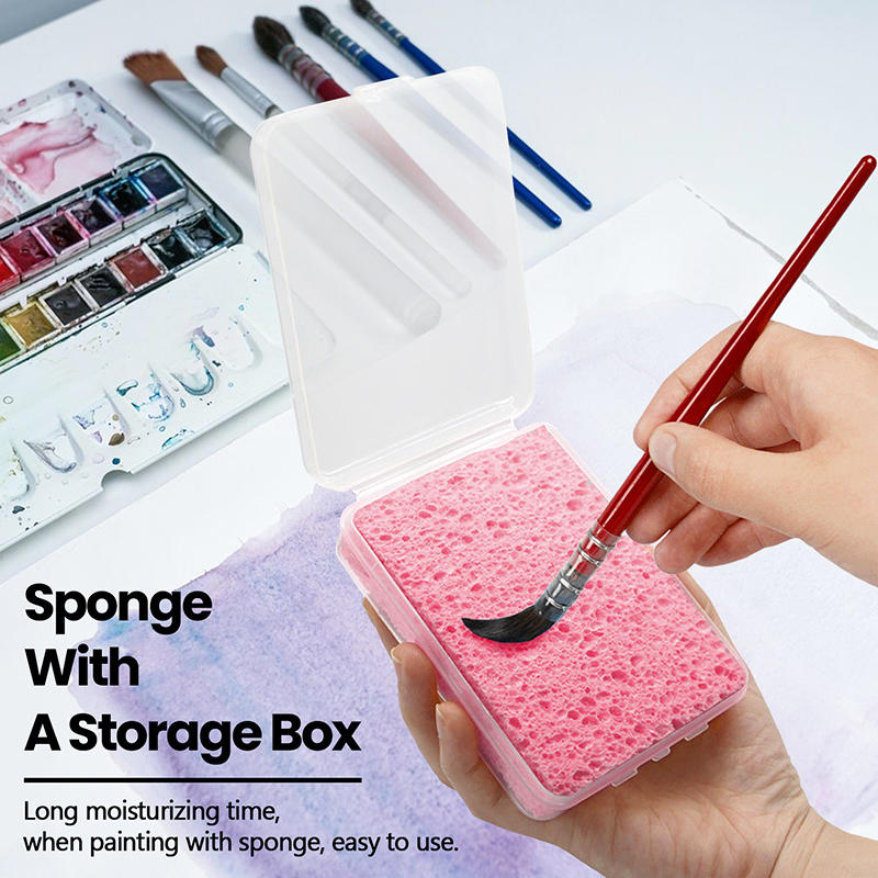 Esponja de limpieza para pintu - Eco Sponge reseña y precio